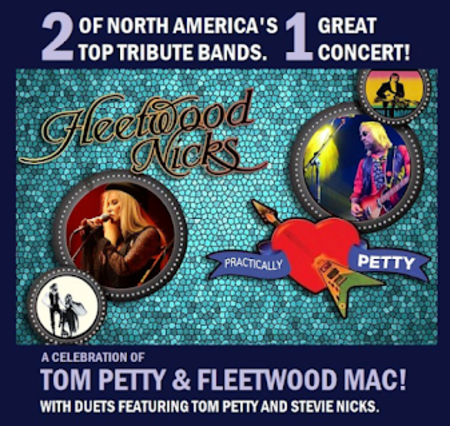 THRIVE Benefit Concert - Practically Petty & Fleetwood Nicks